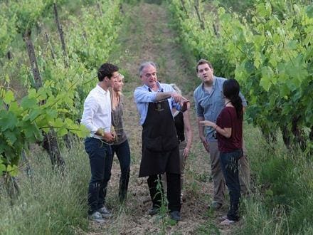 Visit the Vineyard