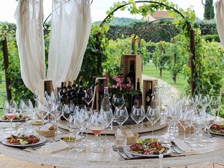Lunch in Vineyard