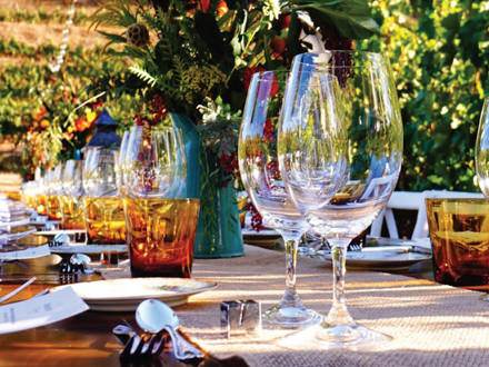 Romantic lunch in vineyard
