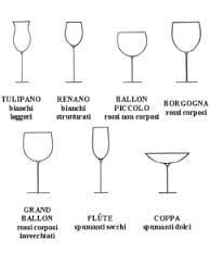 Bicchieri da Vino: tutto quello che c’è da sapere.
