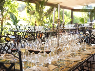 Romantic lunch in vineyard