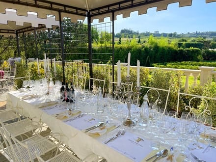 Romantic lunch in vineyard
