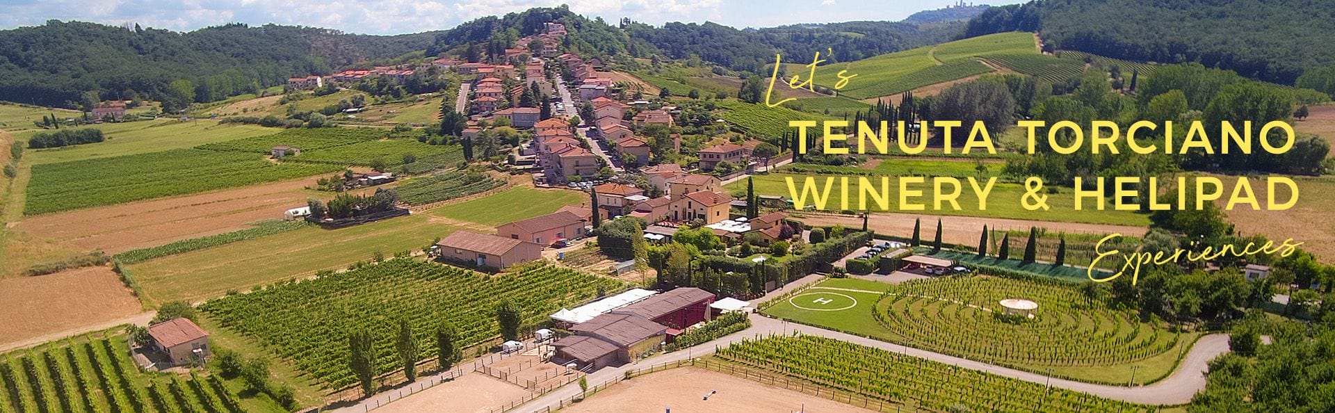 Tenuta Torciano Winery