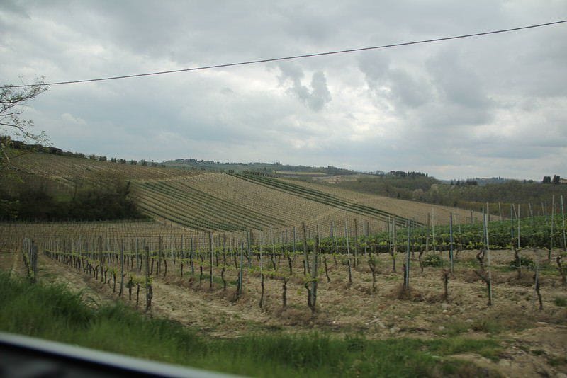 Pranzo presso Tenuta Torciano