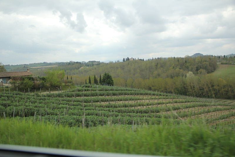 Pranzo presso Tenuta Torciano