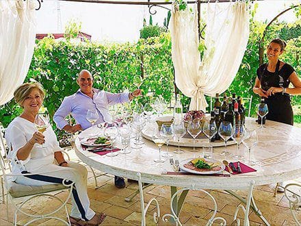 Lunch in Vineyard